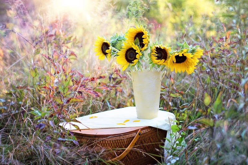 Unique plant arrangements
